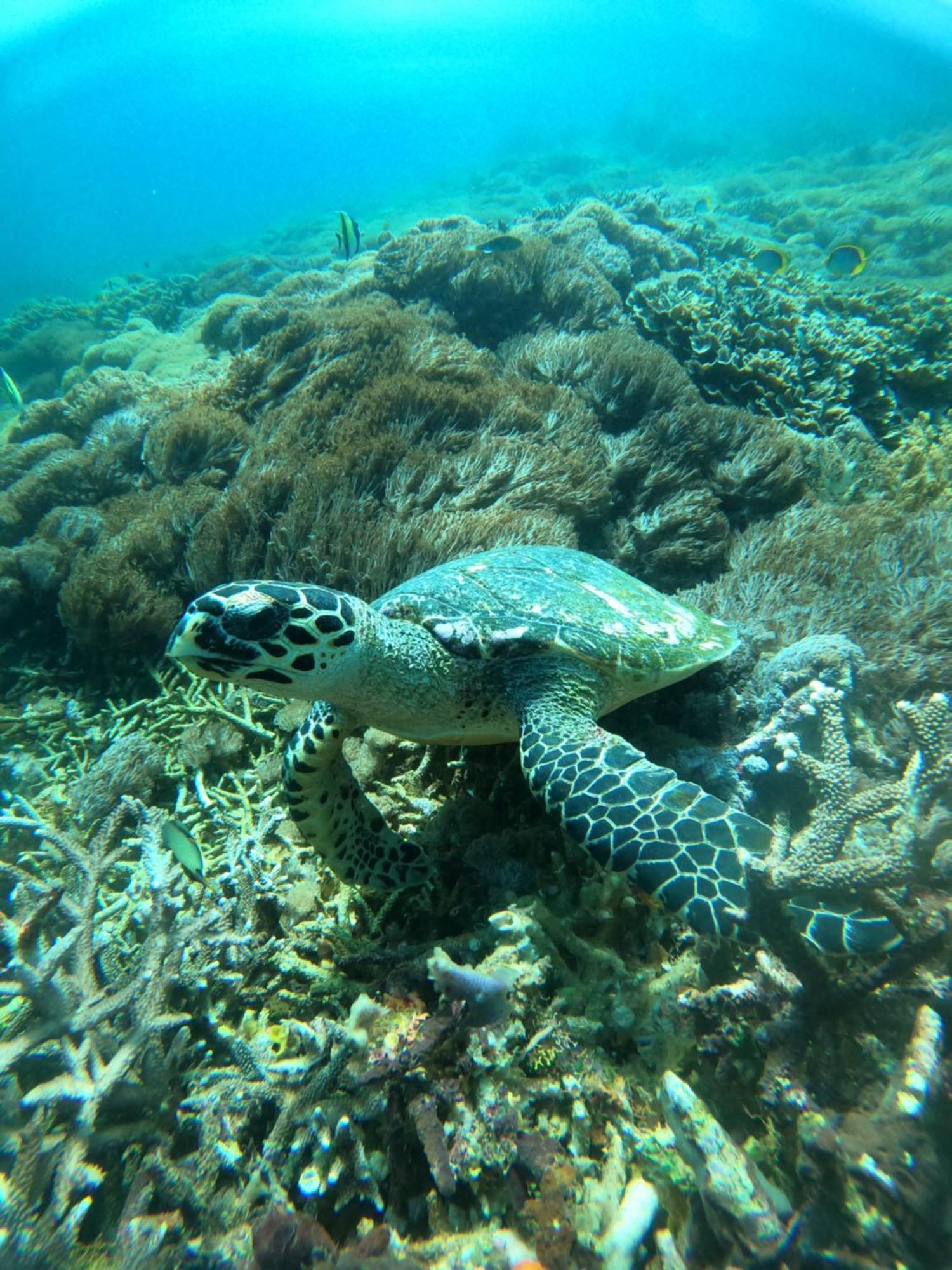 Apartament D'Waktu In House Lembongan Zewnętrze zdjęcie